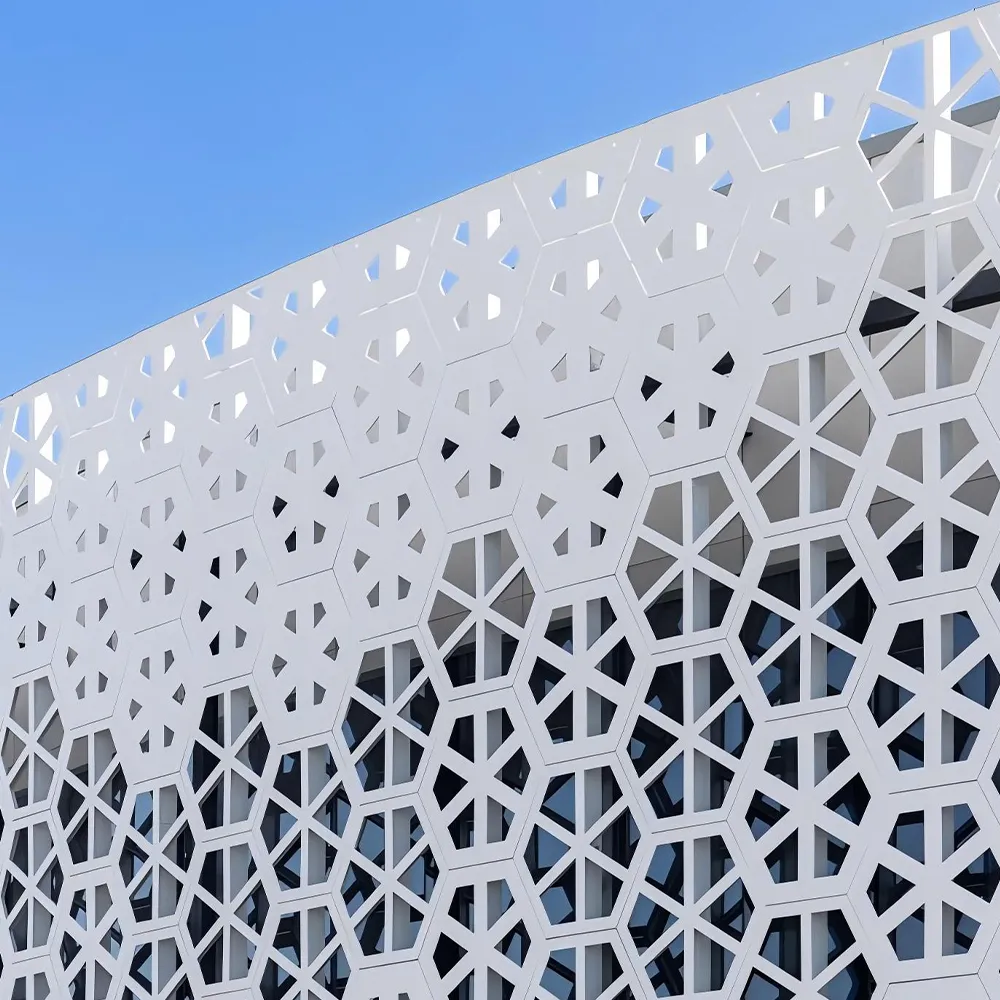 Panel de revestimiento de aluminio tallado con diseño geométrico hueco - Alumin...